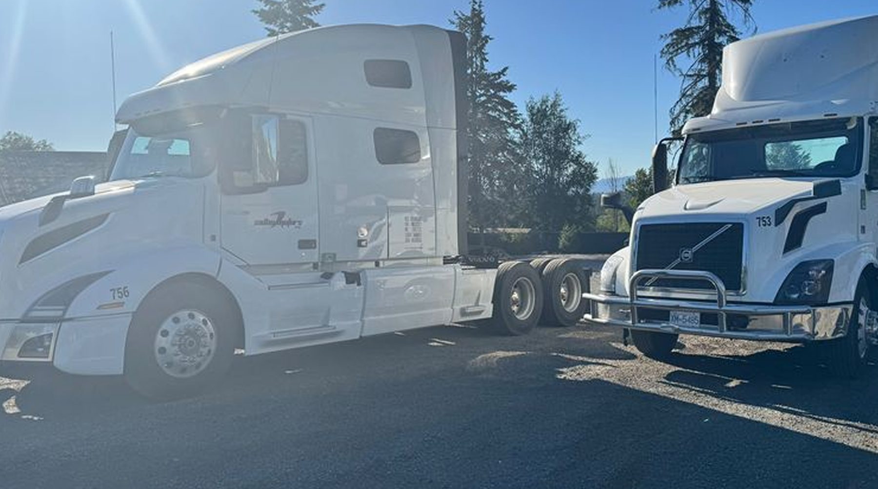 Sidhu Motors fleet staged for a cross-border crossing